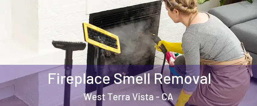 Fireplace Smell Removal West Terra Vista - CA