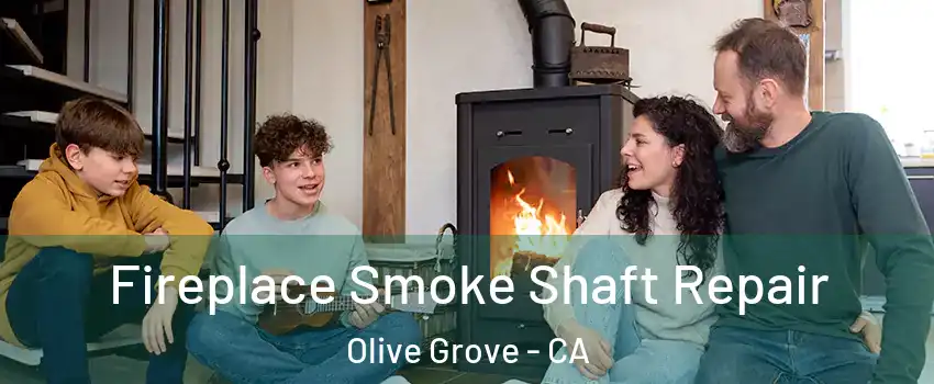 Fireplace Smoke Shaft Repair Olive Grove - CA