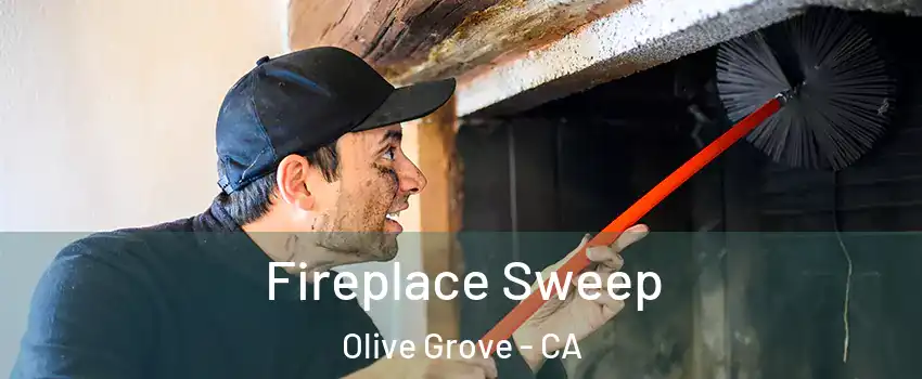 Fireplace Sweep Olive Grove - CA