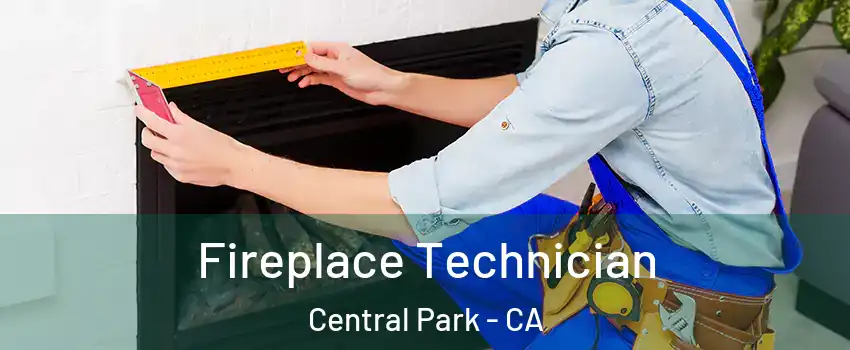 Fireplace Technician Central Park - CA