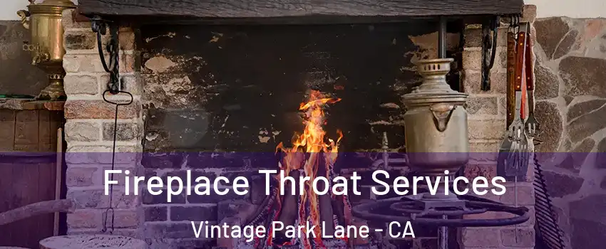 Fireplace Throat Services Vintage Park Lane - CA