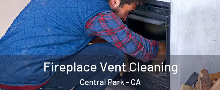 Fireplace Vent Cleaning Central Park - CA