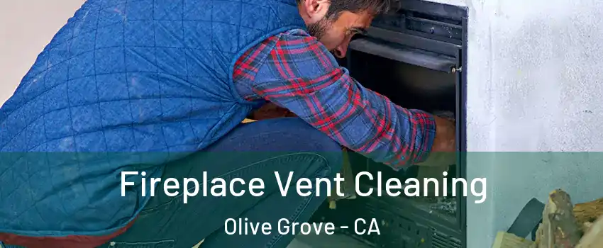 Fireplace Vent Cleaning Olive Grove - CA