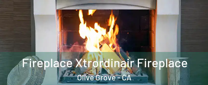 Fireplace Xtrordinair Fireplace Olive Grove - CA