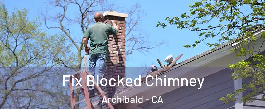 Fix Blocked Chimney Archibald - CA
