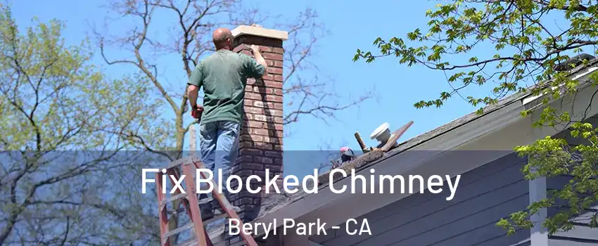 Fix Blocked Chimney Beryl Park - CA