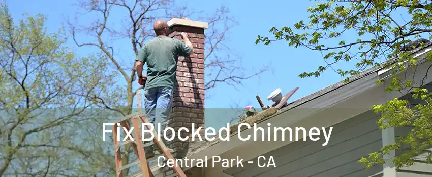 Fix Blocked Chimney Central Park - CA
