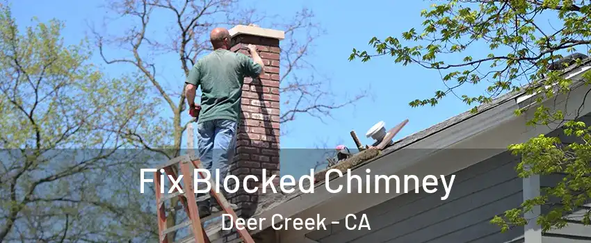 Fix Blocked Chimney Deer Creek - CA