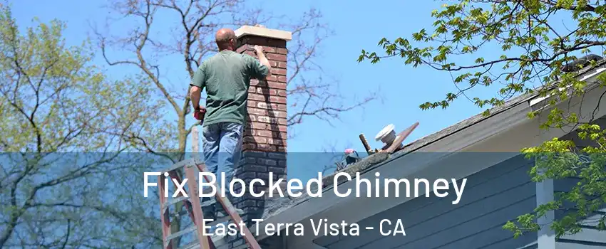 Fix Blocked Chimney East Terra Vista - CA