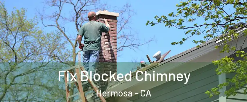 Fix Blocked Chimney Hermosa - CA