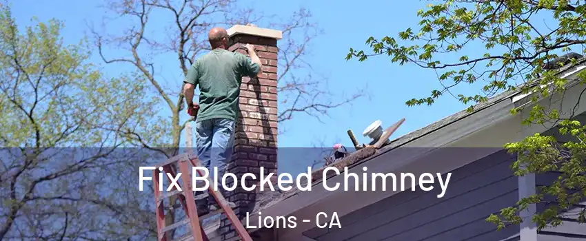 Fix Blocked Chimney Lions - CA