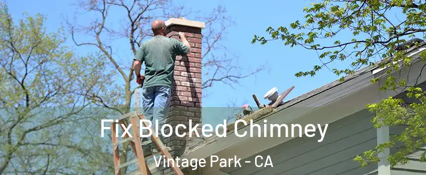 Fix Blocked Chimney Vintage Park - CA