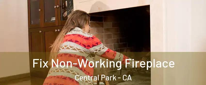 Fix Non-Working Fireplace Central Park - CA
