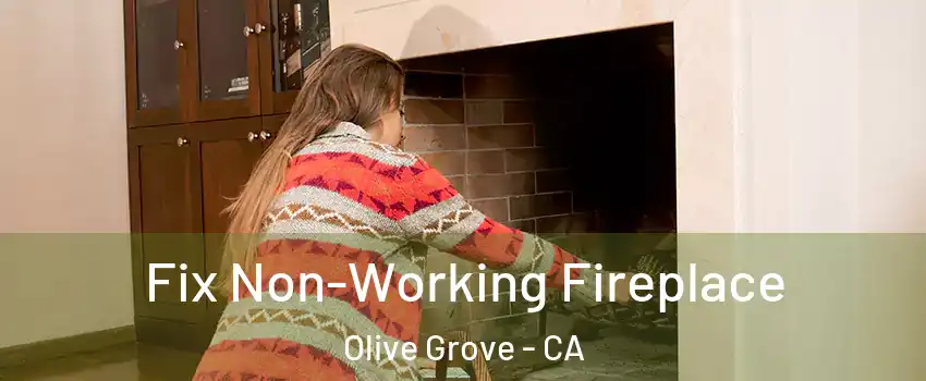 Fix Non-Working Fireplace Olive Grove - CA