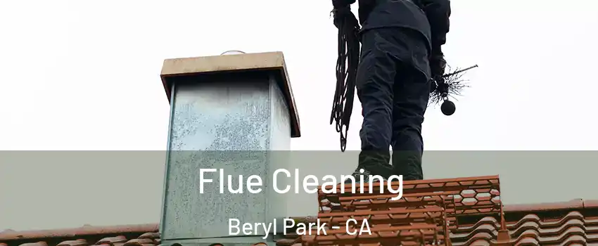 Flue Cleaning Beryl Park - CA