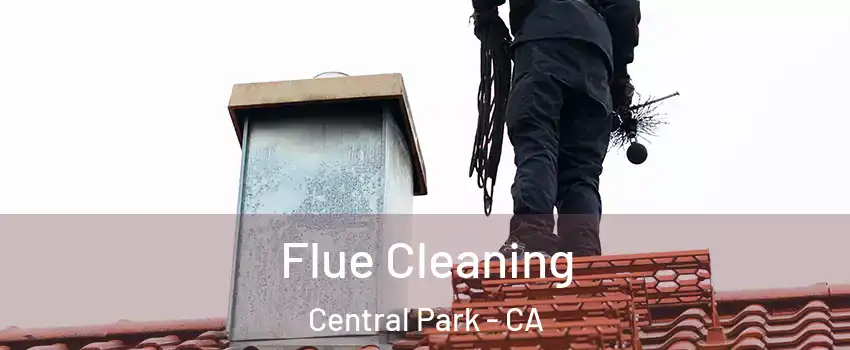 Flue Cleaning Central Park - CA