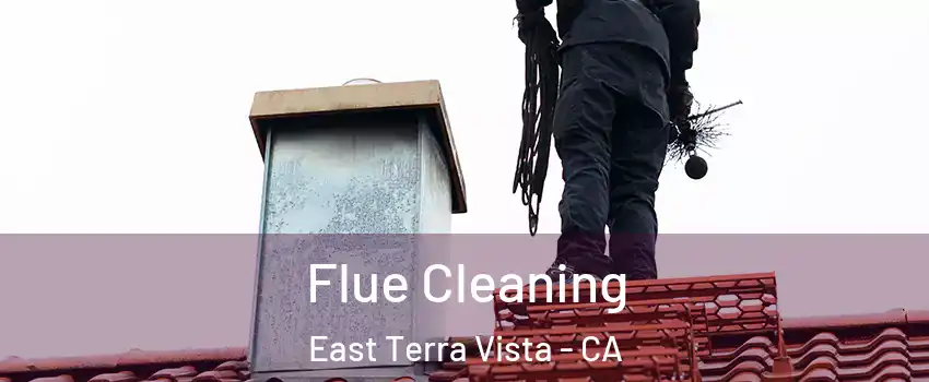Flue Cleaning East Terra Vista - CA