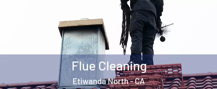 Flue Cleaning Etiwanda North - CA