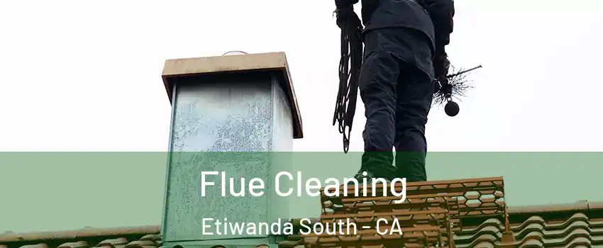 Flue Cleaning Etiwanda South - CA