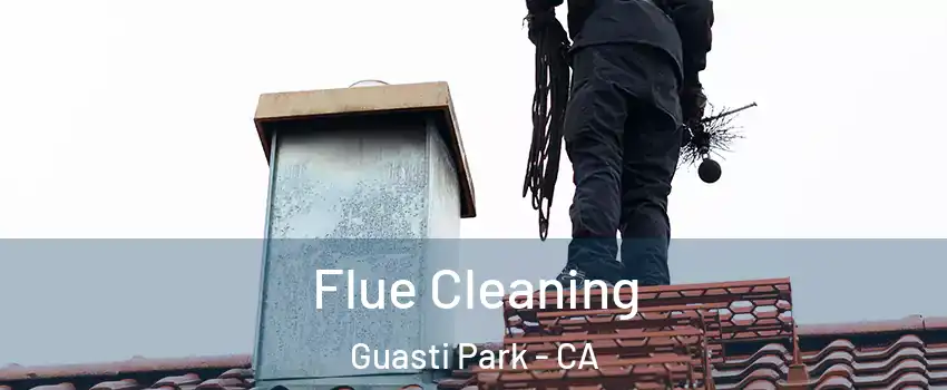 Flue Cleaning Guasti Park - CA