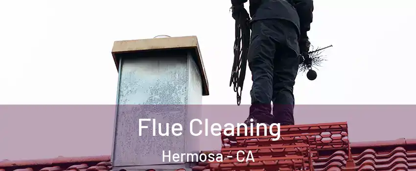Flue Cleaning Hermosa - CA