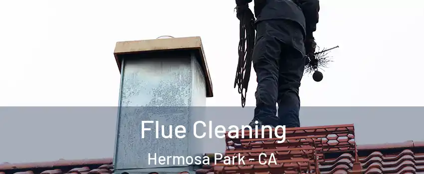 Flue Cleaning Hermosa Park - CA