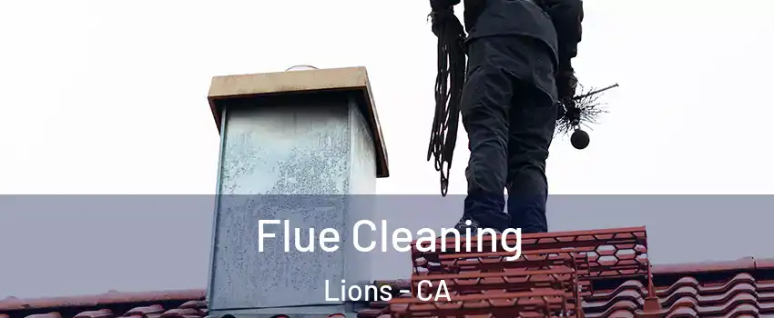 Flue Cleaning Lions - CA
