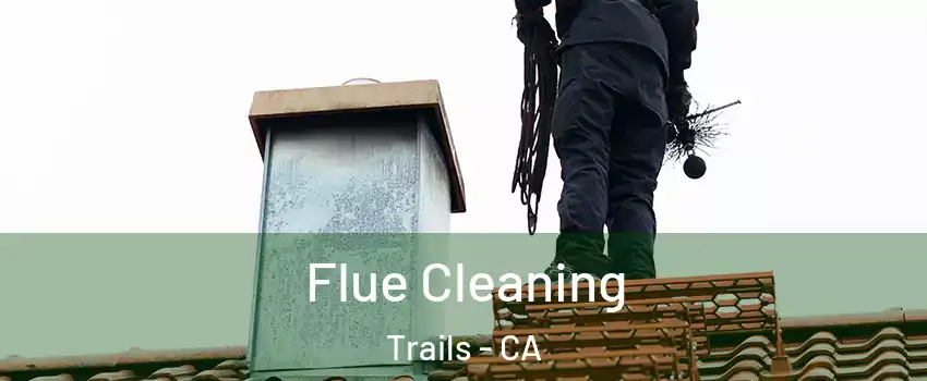 Flue Cleaning Trails - CA