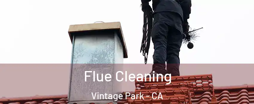 Flue Cleaning Vintage Park - CA