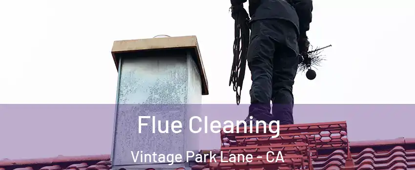 Flue Cleaning Vintage Park Lane - CA