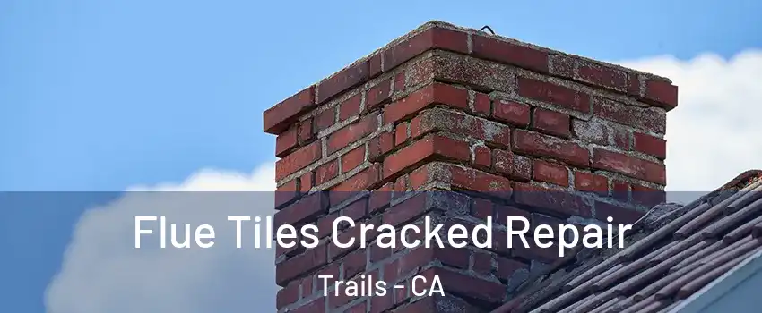 Flue Tiles Cracked Repair Trails - CA