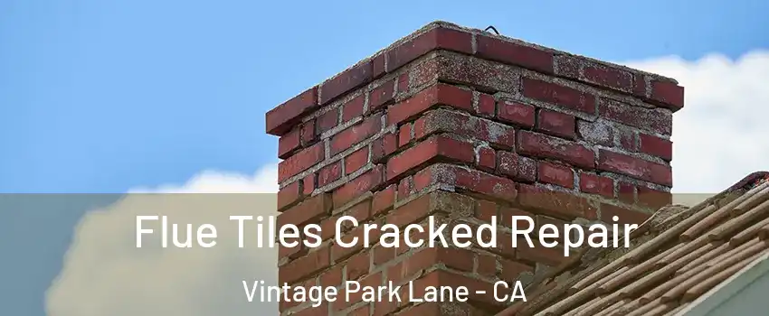 Flue Tiles Cracked Repair Vintage Park Lane - CA