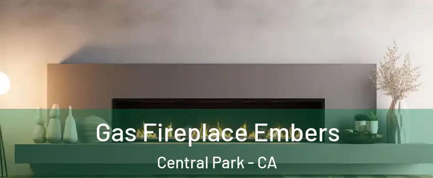 Gas Fireplace Embers Central Park - CA