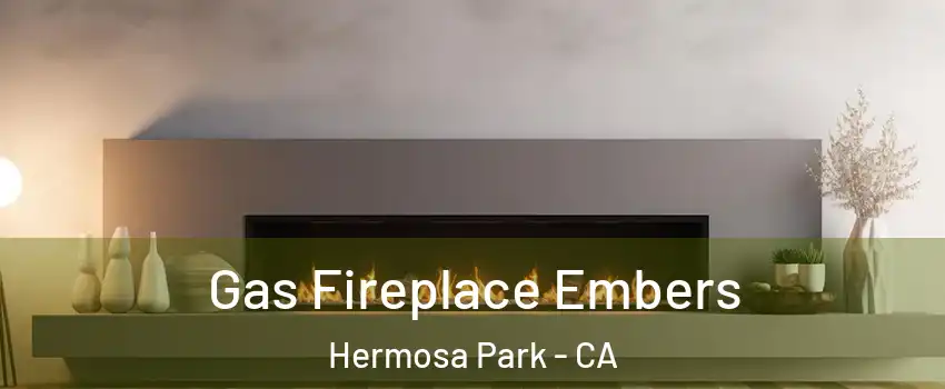Gas Fireplace Embers Hermosa Park - CA