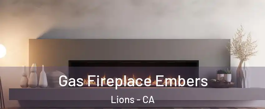 Gas Fireplace Embers Lions - CA