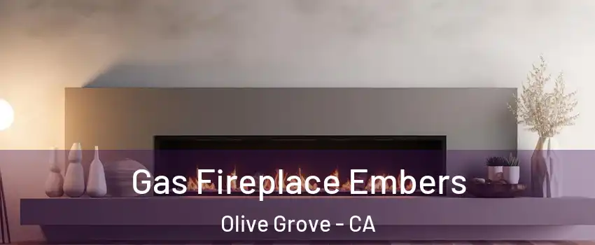Gas Fireplace Embers Olive Grove - CA