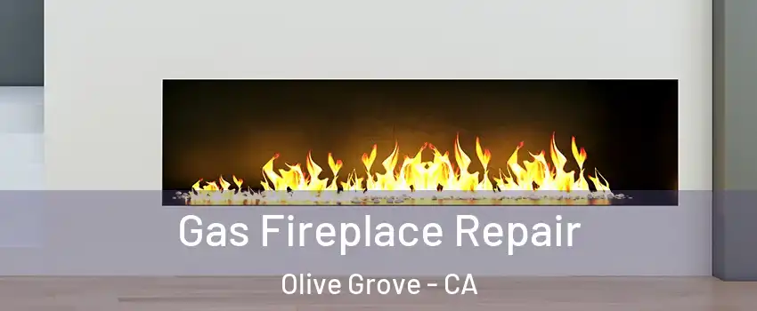 Gas Fireplace Repair Olive Grove - CA