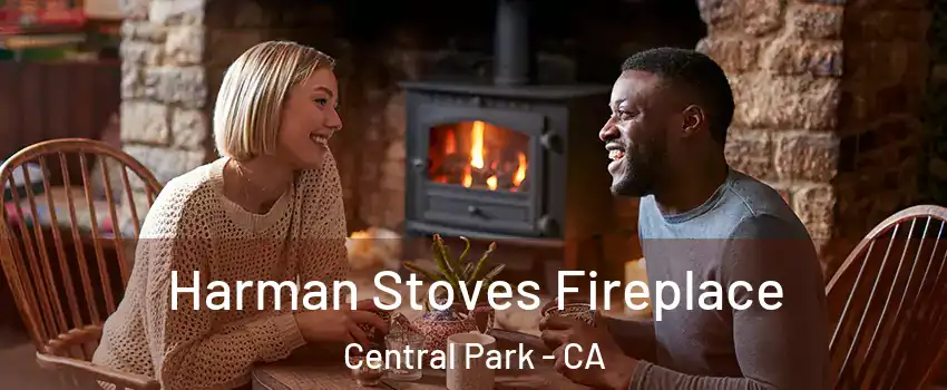 Harman Stoves Fireplace Central Park - CA