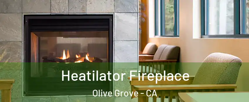 Heatilator Fireplace Olive Grove - CA