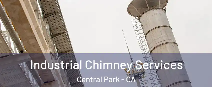 Industrial Chimney Services Central Park - CA