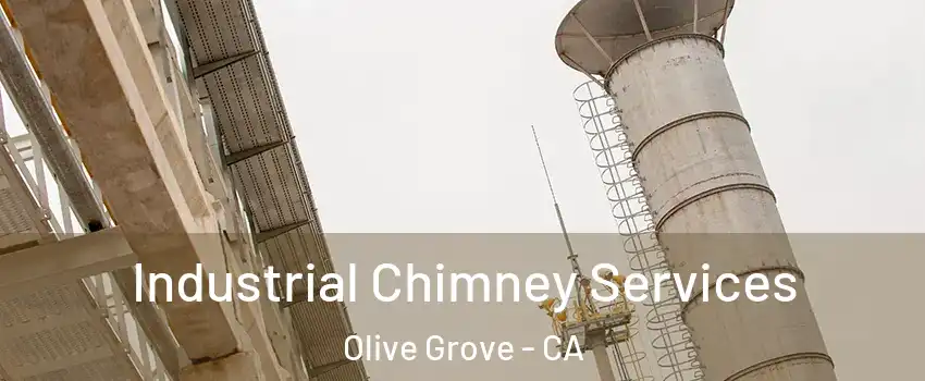 Industrial Chimney Services Olive Grove - CA