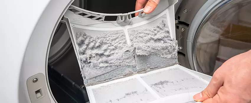Best Dryer Lint Removal Company in East Terra Vista, California