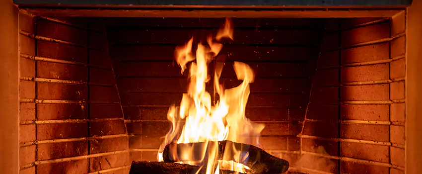 Soot Cleanup Services in East Terra Vista, CA