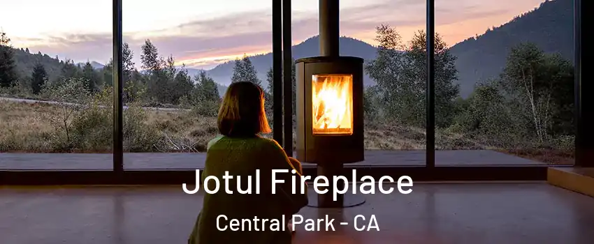 Jotul Fireplace Central Park - CA