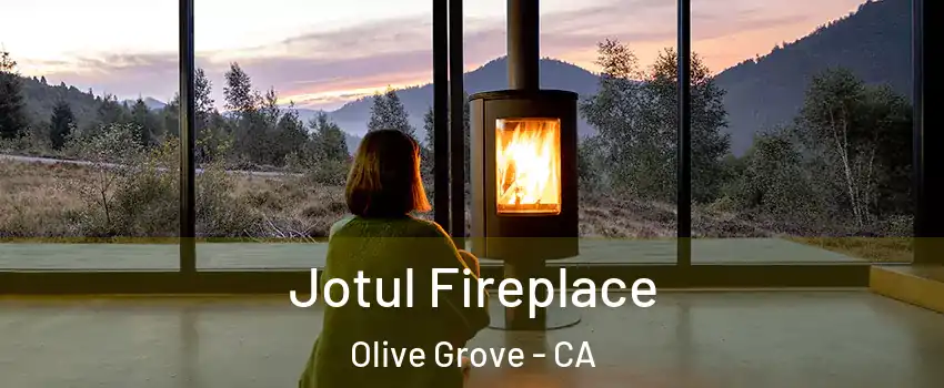 Jotul Fireplace Olive Grove - CA