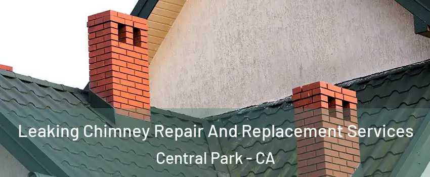 Leaking Chimney Repair And Replacement Services Central Park - CA