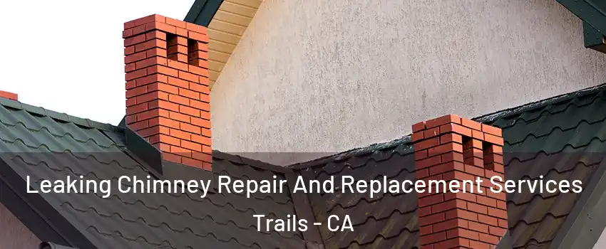 Leaking Chimney Repair And Replacement Services Trails - CA
