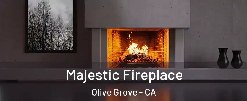 Majestic Fireplace Olive Grove - CA