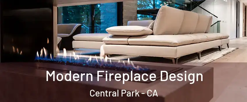 Modern Fireplace Design Central Park - CA