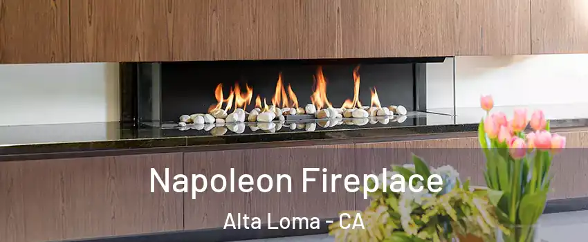 Napoleon Fireplace Alta Loma - CA
